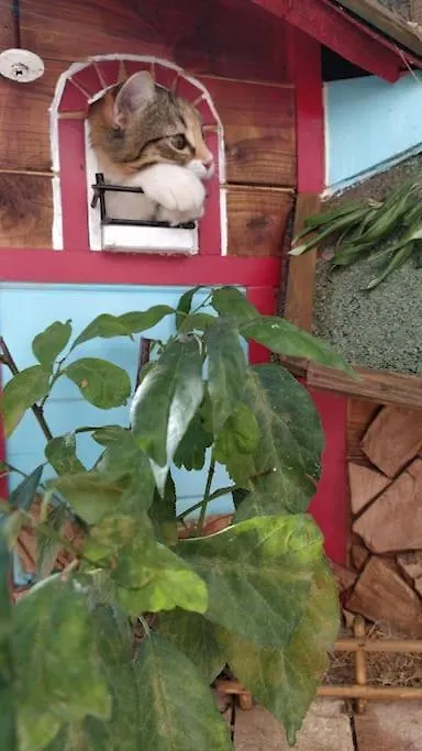 Il Giardino Incantato Su Forti Италия